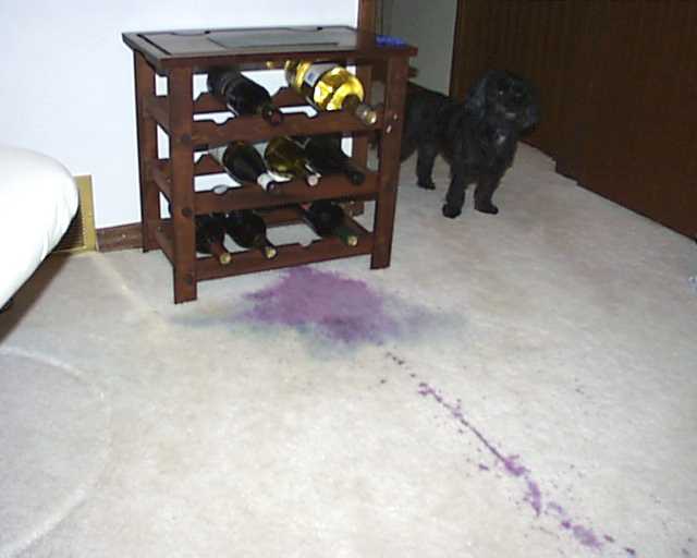 carpet, cleaning, steam, stain, removal, crime, scene, soda, stain removal, clean, tile, grout, restoration, water, fire
